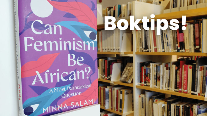 Can feminism be african
